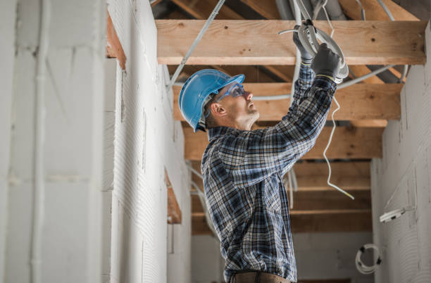 Best Commercial Electrician Services  in Lena, IL