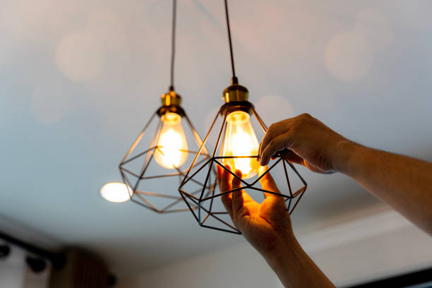 Best Emergency Electrician Near Me  in Lena, IL