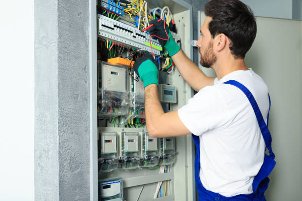 Best Electrical Upgrades for Homes  in Lena, IL
